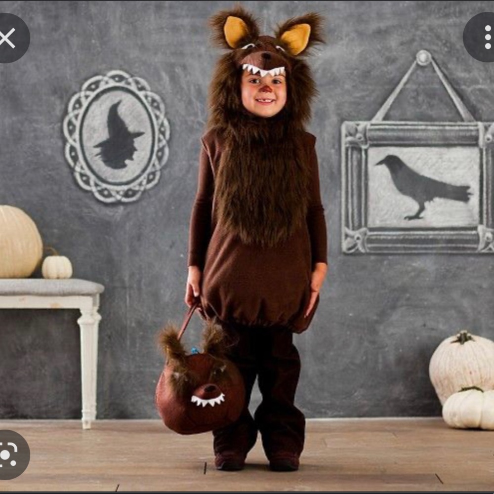 Pottery Barn Kids Wolf Werewolf Costume Size 4-6